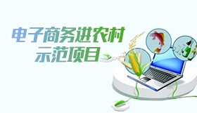 電子商務(wù)進(jìn)農(nóng)村示范項(xiàng)目